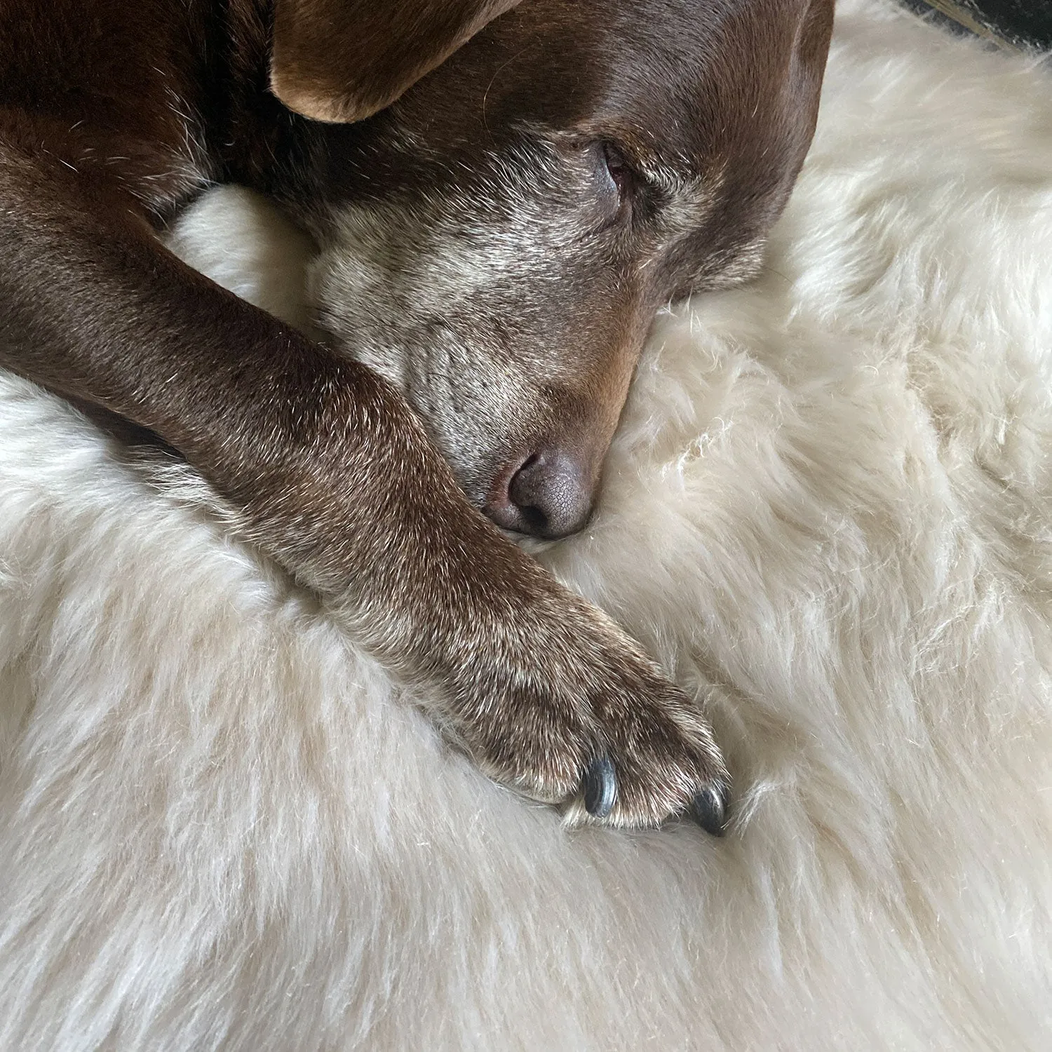 British Double Sheepskin Rug Linen