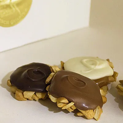 Cashew Tortues