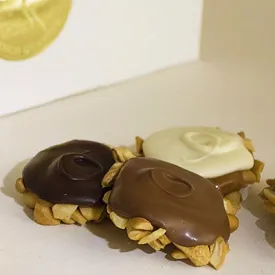 Cashew Tortues