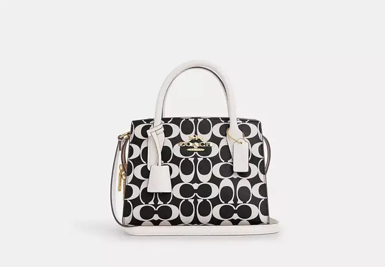 Coach Andrea Carryall Bag In Signature Canvas