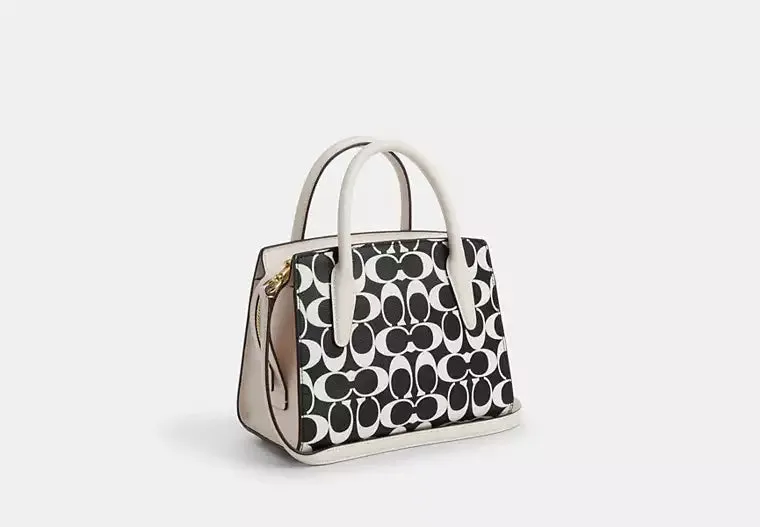 Coach Andrea Carryall Bag In Signature Canvas