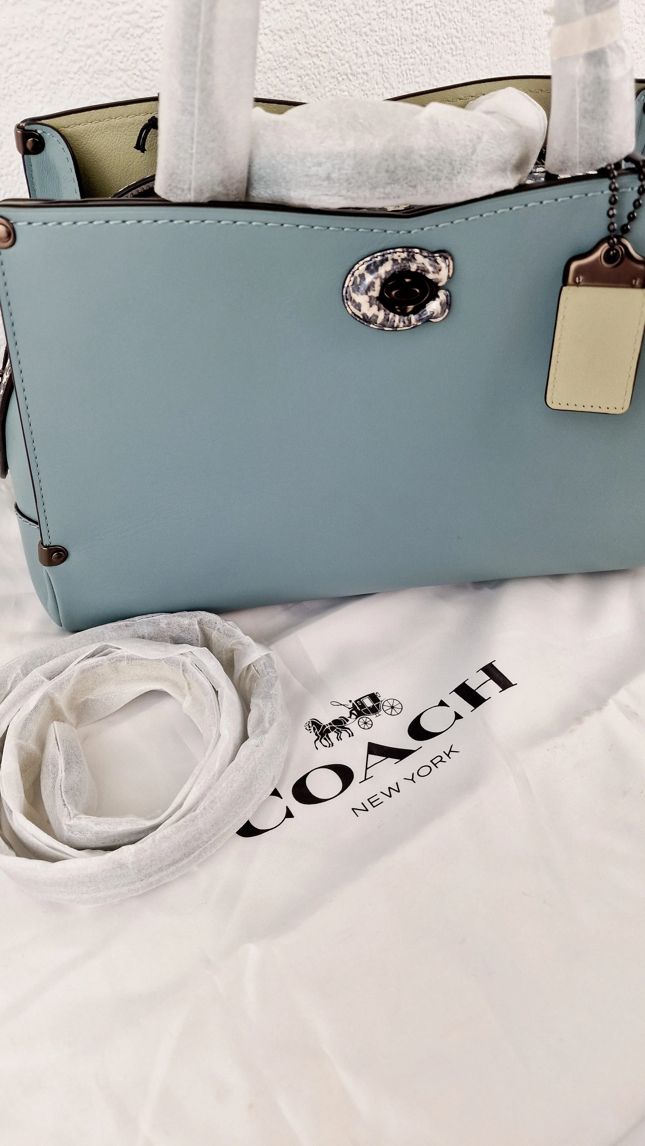 Coach Mason Carryall in Sage Pale Blue Green Smooth Leather & Snakeskin - Coach 38717