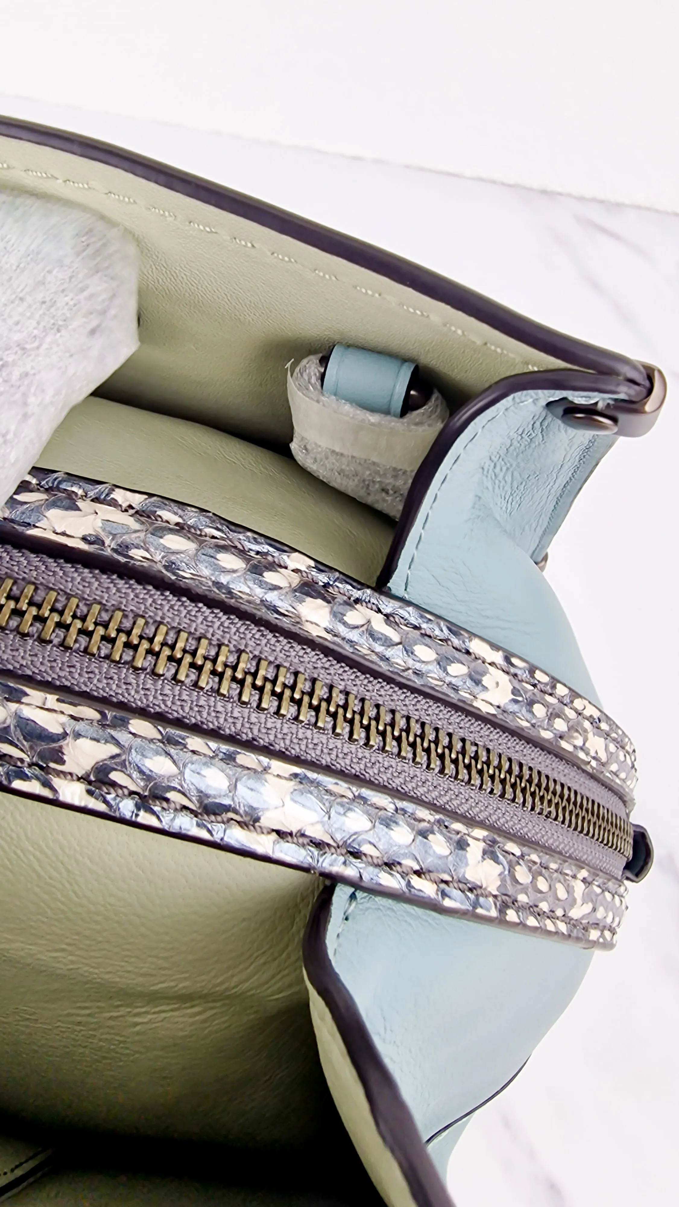 Coach Mason Carryall in Sage Pale Blue Green Smooth Leather & Snakeskin - Coach 38717
