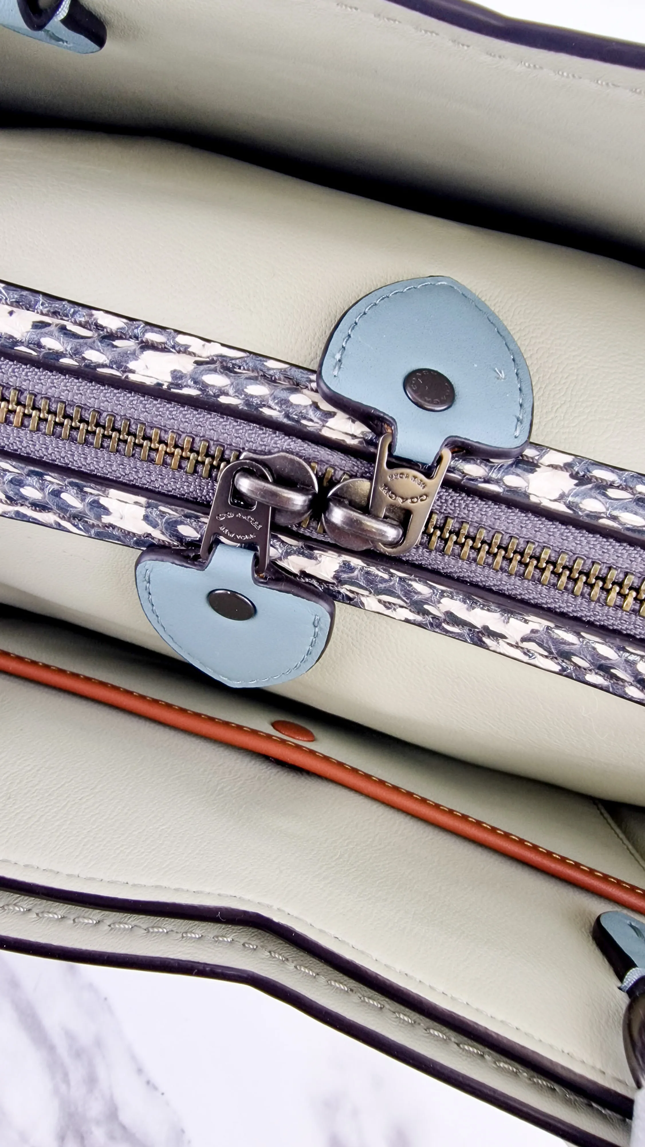 Coach Mason Carryall in Sage Pale Blue Green Smooth Leather & Snakeskin - Coach 38717