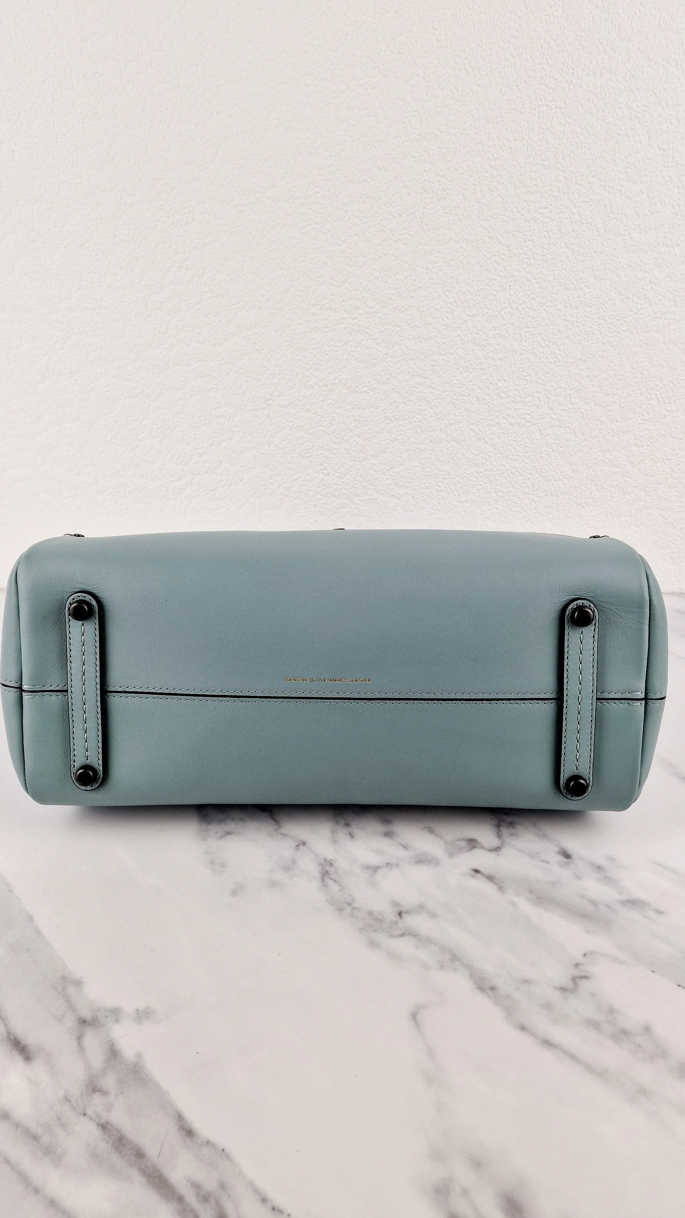 Coach Mason Carryall in Sage Pale Blue Green Smooth Leather & Snakeskin - Coach 38717