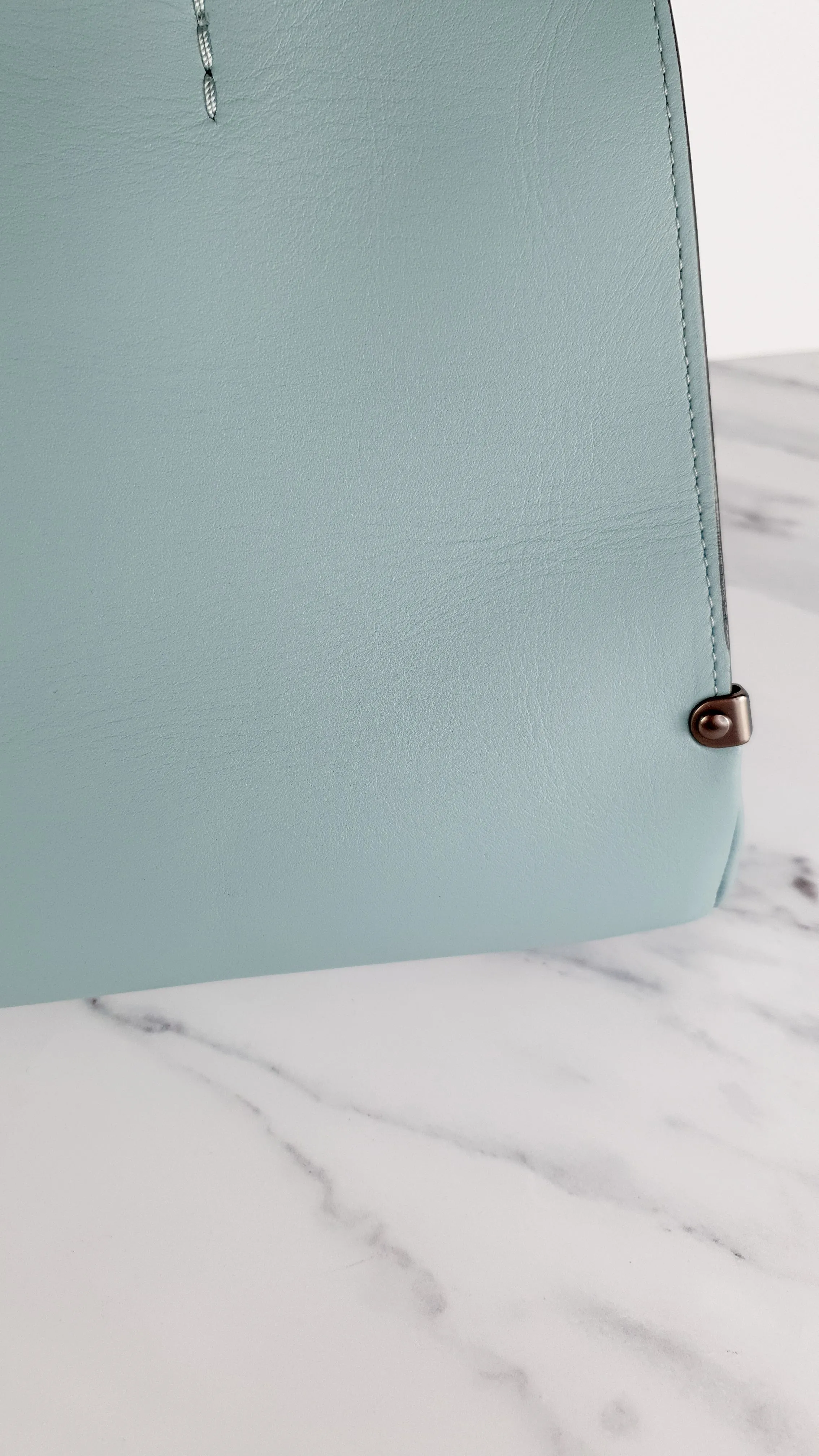 Coach Mason Carryall in Sage Pale Blue Green Smooth Leather with Snakeskin - Coach 38717