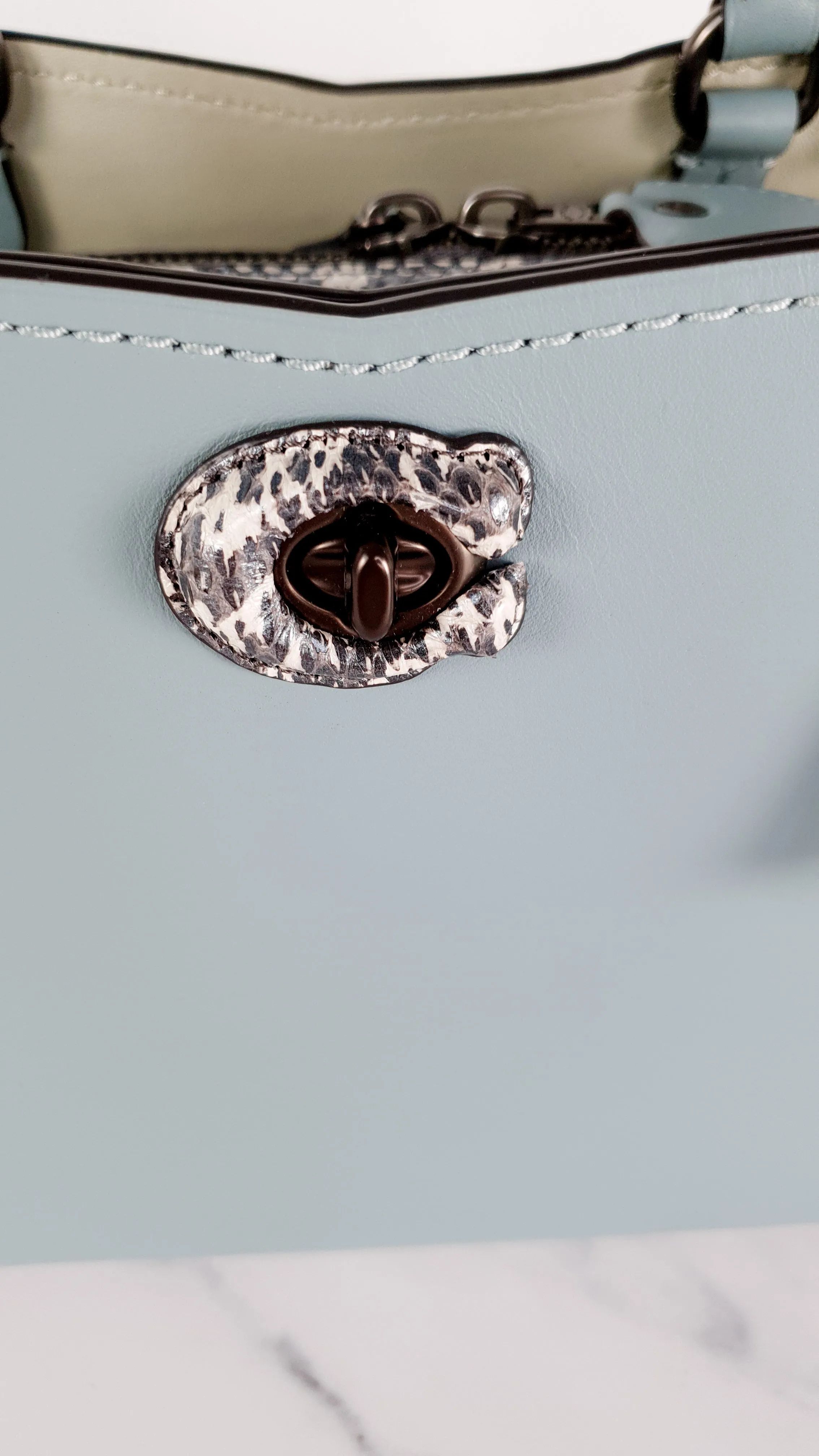 Coach Mason Carryall in Sage Pale Blue Green Smooth Leather with Snakeskin - Coach 38717