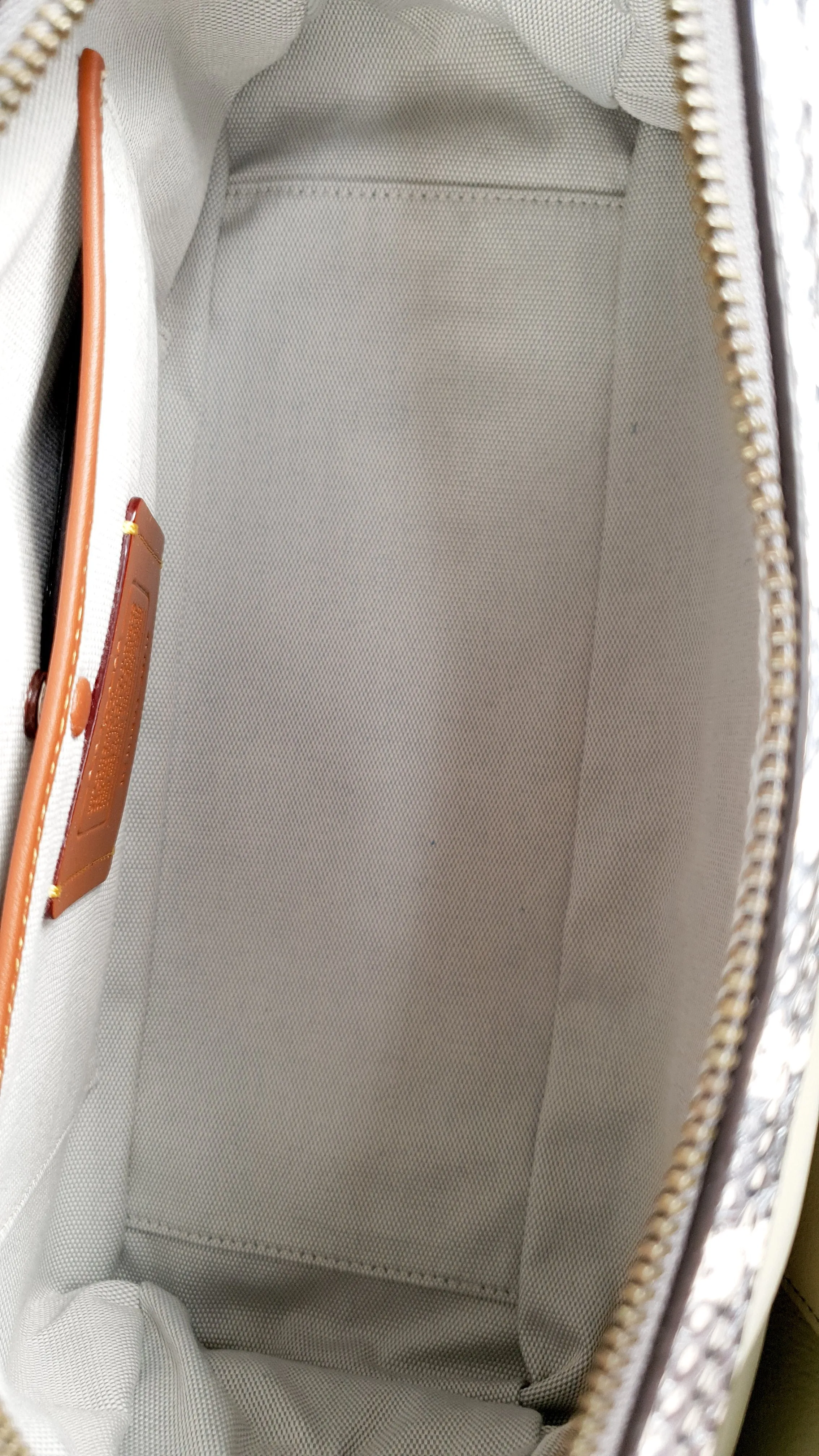 Coach Mason Carryall in Sage Pale Blue Green Smooth Leather with Snakeskin - Coach 38717