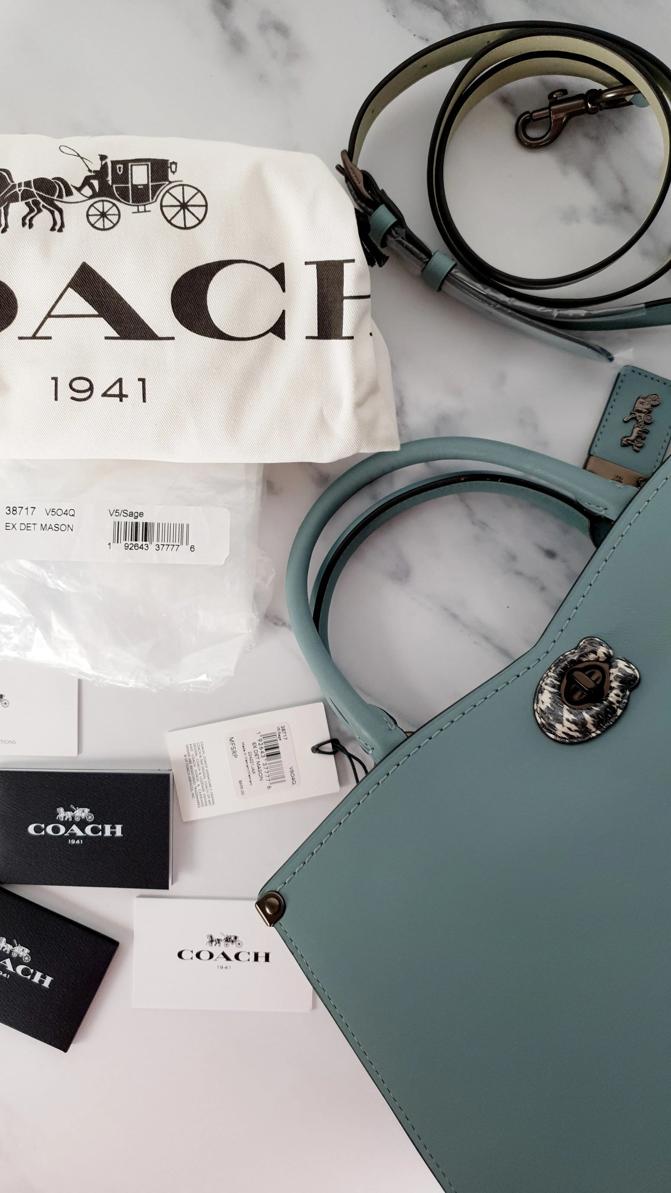 Coach Mason Carryall in Sage Pale Blue Green Smooth Leather with Snakeskin - Coach 38717