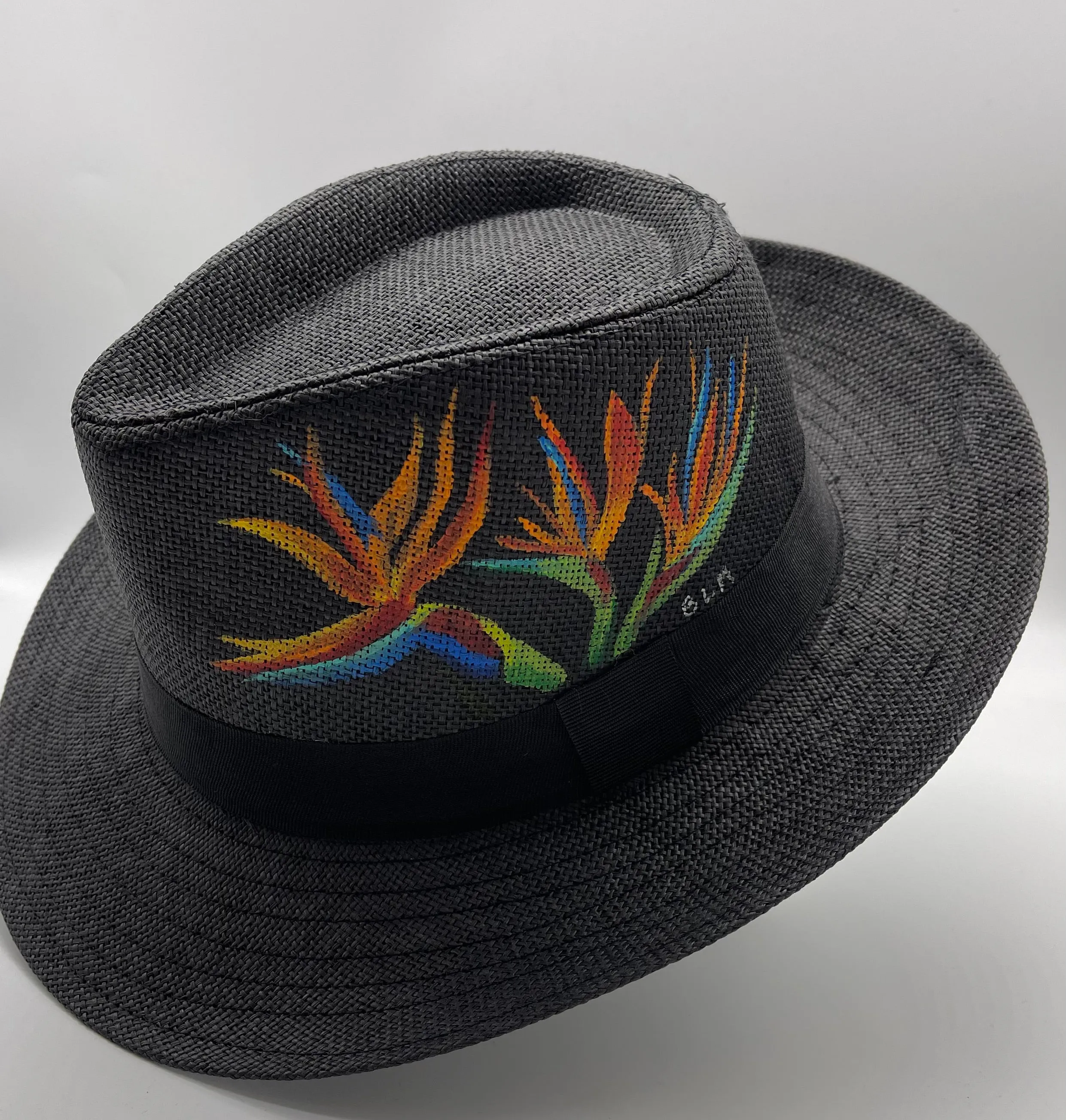 Hand painted hats