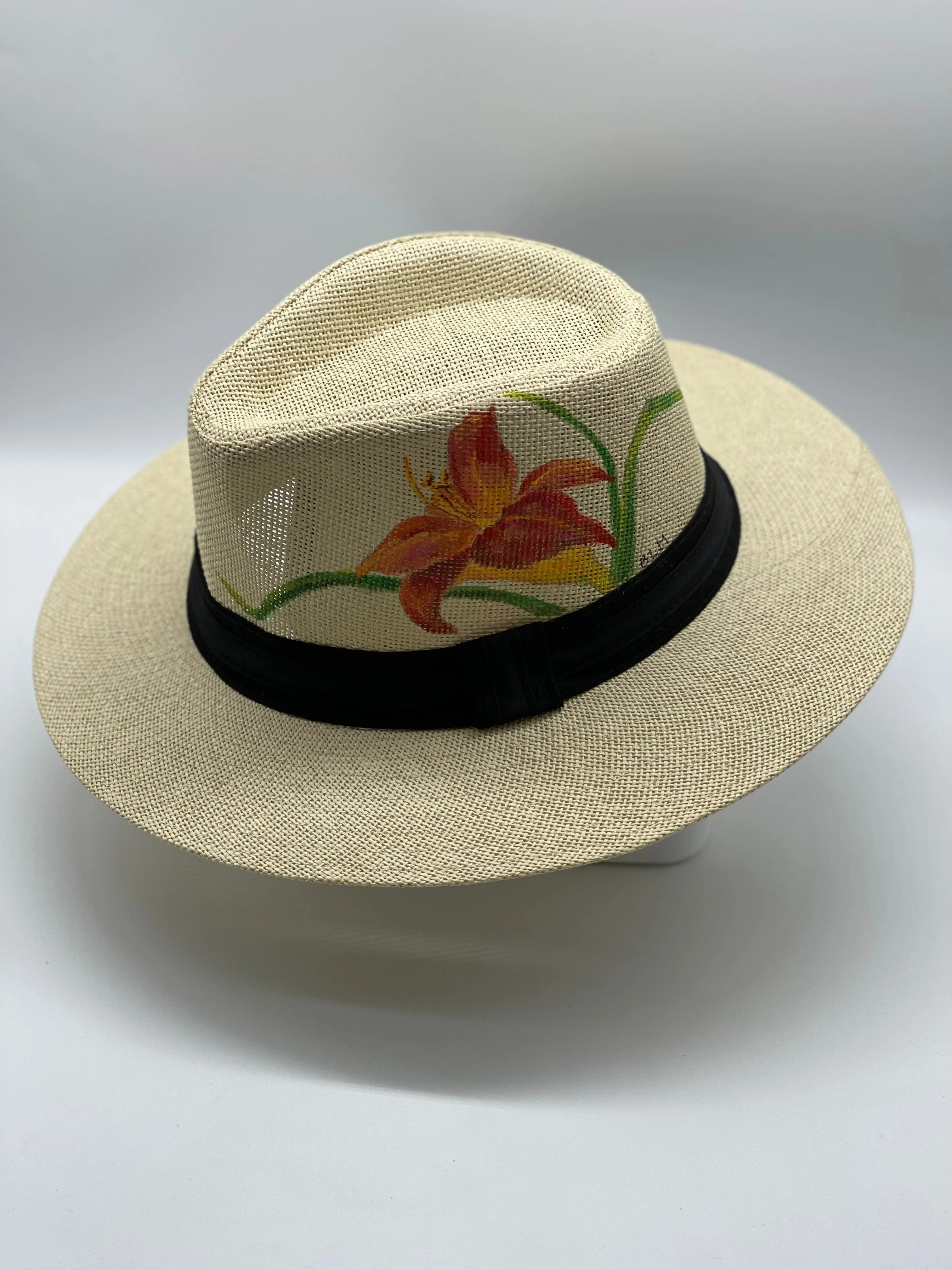 Hand painted hats