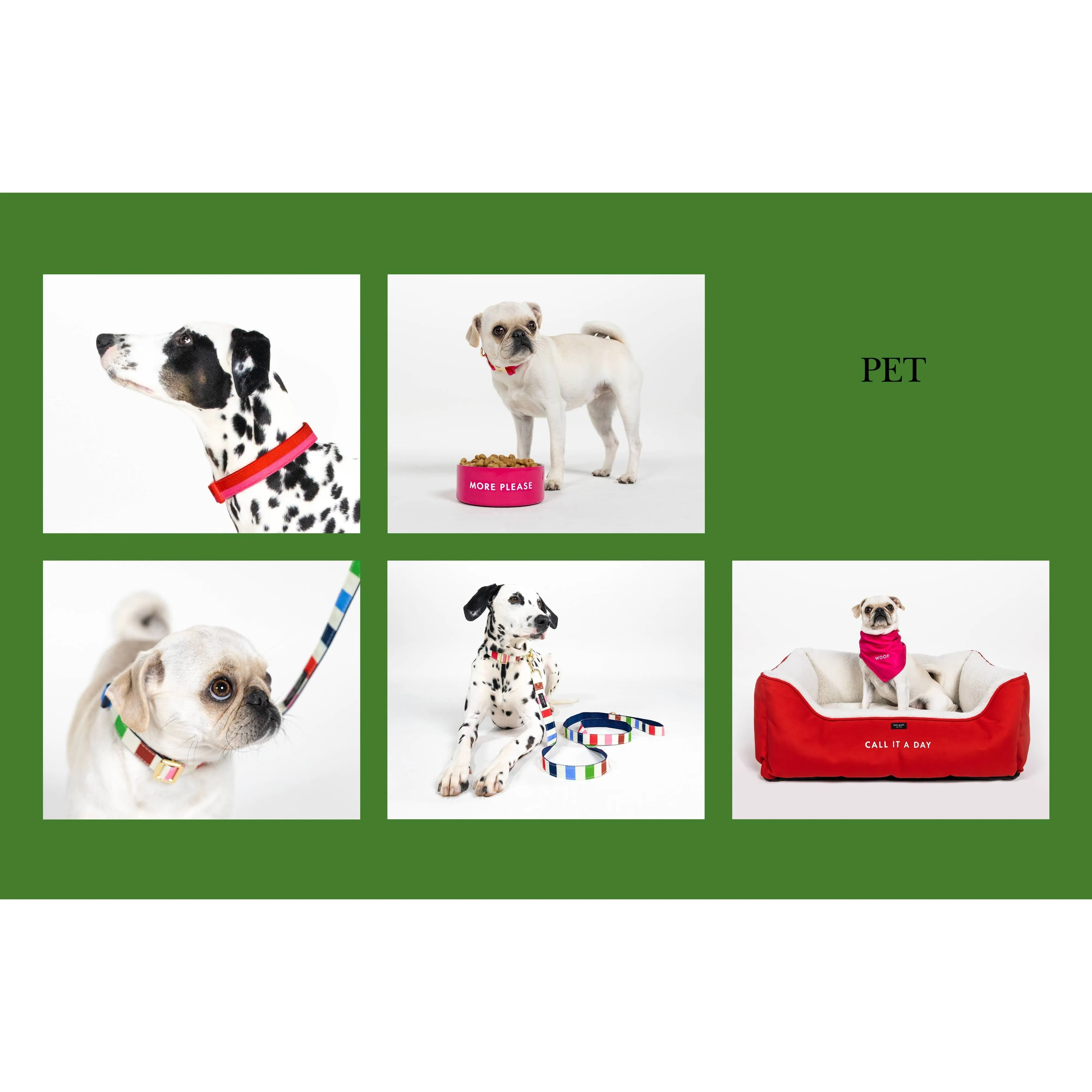 Kate Spade New York | Adventure Stripe - Dog Collar