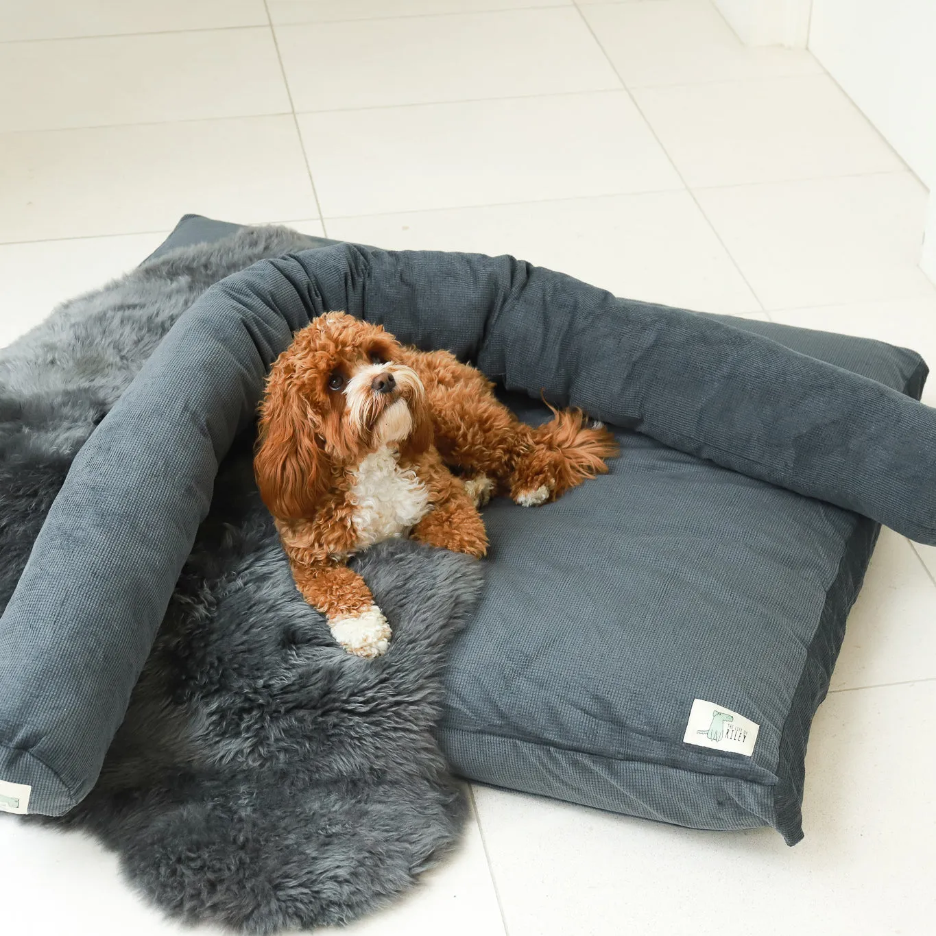 Luxury Dog Bed Bundle