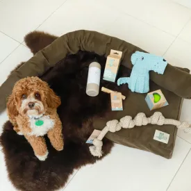 Luxury Dog Bed Bundle