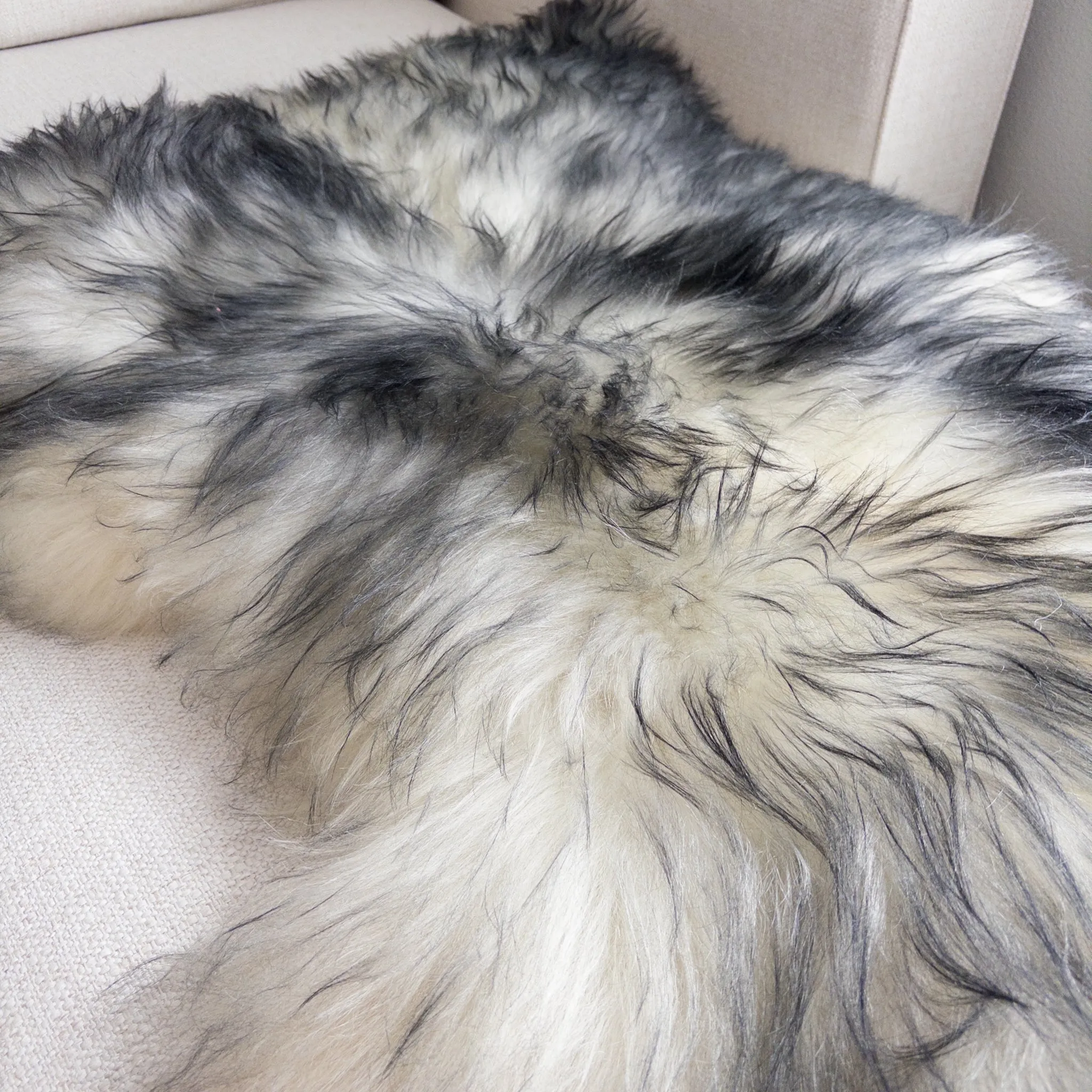 XXL Premium Icelandic Sheepskin Rug Extra - White with Dyed Black Tips Long Wool "A"