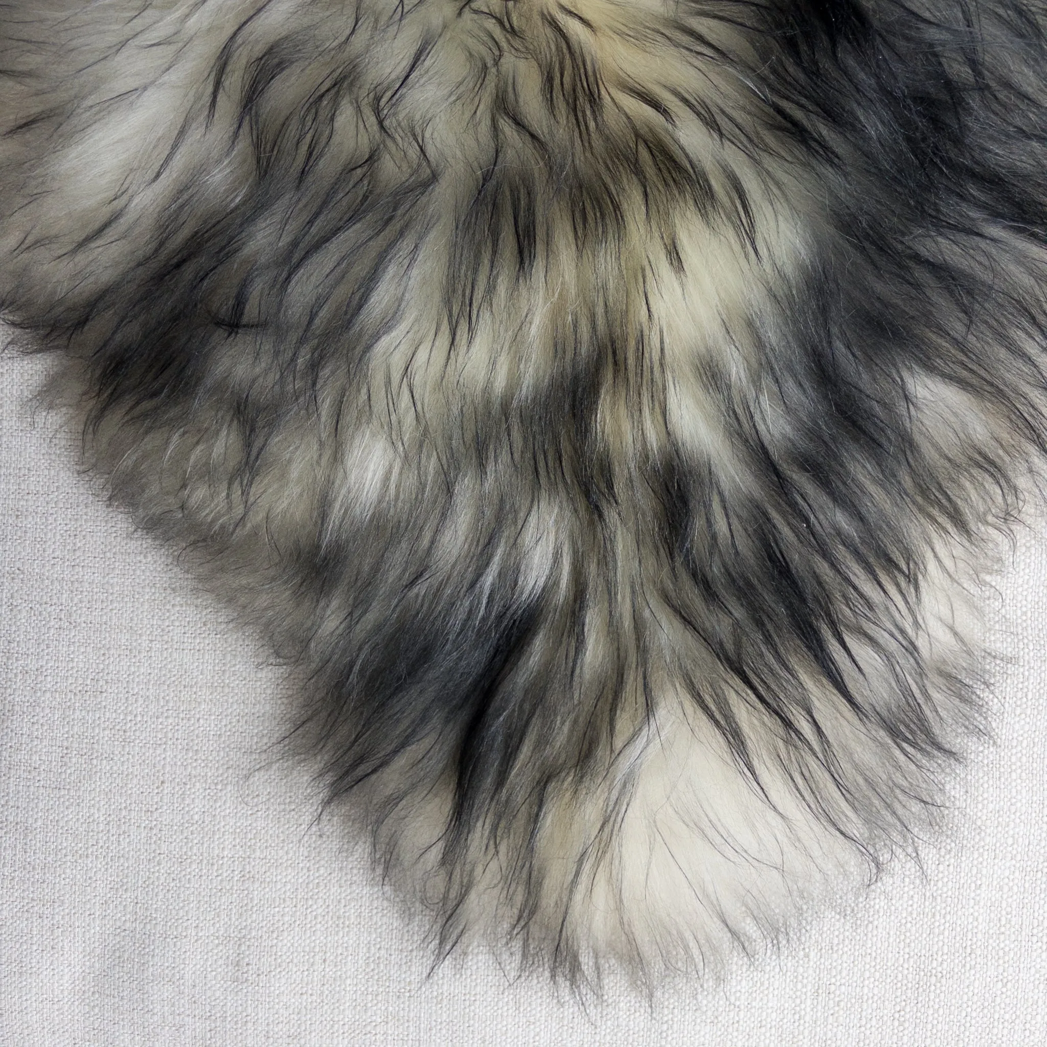 XXL Premium Icelandic Sheepskin Rug Extra - White with Dyed Black Tips Long Wool "A"